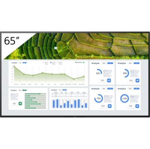 Display public OLED Sony, 65 inch, 4K (FW-65BZ30L)