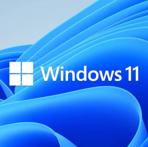Microsoft Windows 11 Home 64-bit, 12 luni Retail/FPP (HAJ-00090)