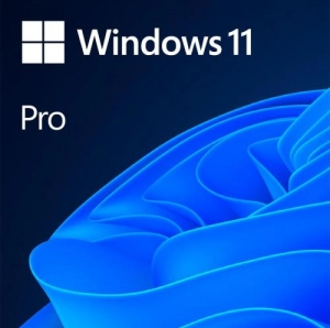 Microsoft Windows 11 Professional 64-bit, 12 luni Retail/FPP (HAV-00163)
